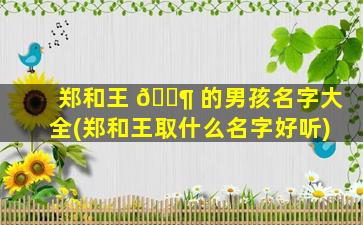 郑和王 🐶 的男孩名字大全(郑和王取什么名字好听)